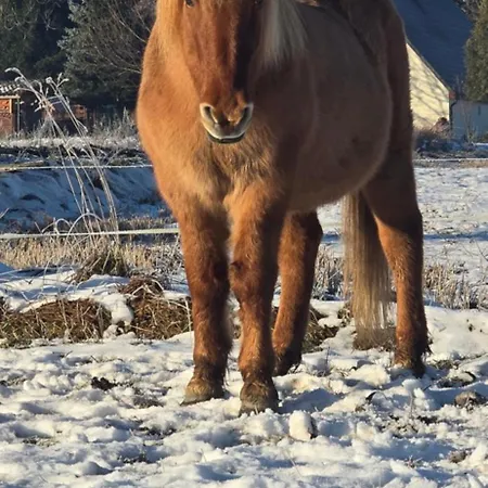 Hygge Mlynsko