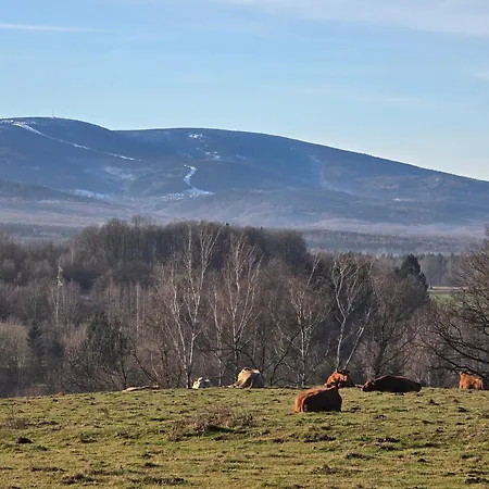 Hygge Mlynsko