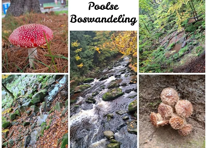 Holiday home Hygge Mlynsko